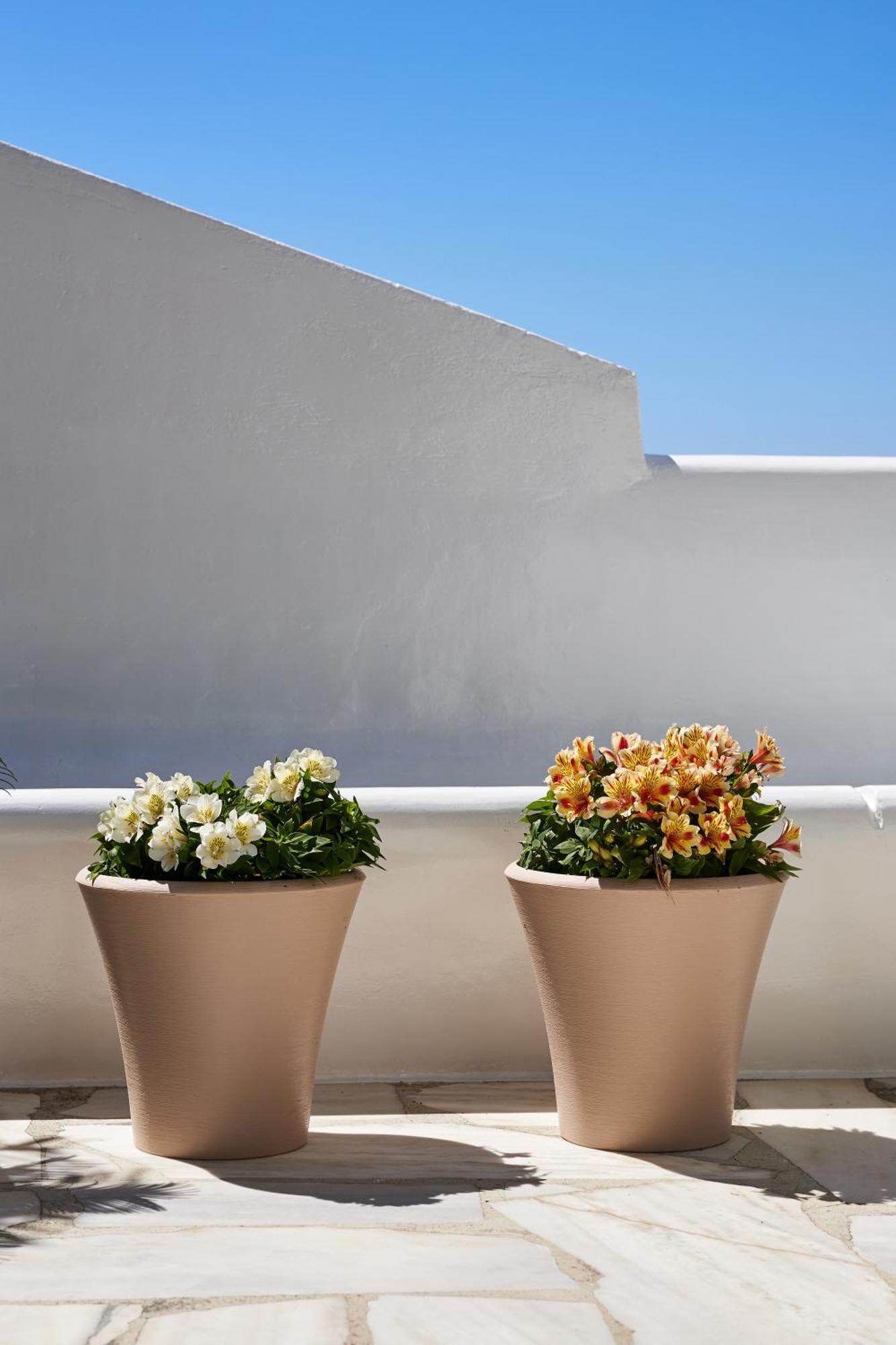 Sand Lily Villa Mykonos Mykonos Town Exterior foto